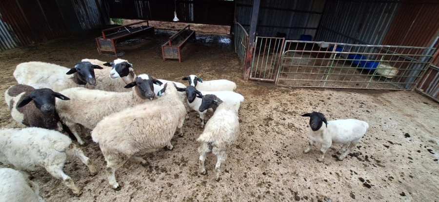 7 Bedroom Property for Sale in Swartruggens North West